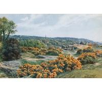 RZHRHJES Vintage Wall Art Picture on Canvas Wall Art Poster the Common Tunbridge Wells by Alfred Robert Quinton Canvas Poster for Home Decor 60x90cm