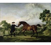 RZHRHJES Vintage Wall Art Picture on Canvas Wall Art Poster the of Ancaster's Bay Stallion Blank Held by George Stubbs Canvas Poster for Home Decor 60x90cm