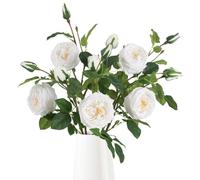 Rzoukler Real Touch White Austin Roses Peonies Artificial Flowers 4 Bouquets Latex Fake Peonies with Long Stem Realistic Faux Peony for Wedding Party Home Table Centerpieces Decorations (White)
