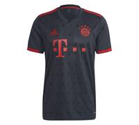 (S) 2022-2023 Bayern Munich Third Shirt