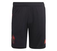 (S) 2022-2023 Belgium Training Shorts (Black)