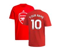 (S) 2024-2025 Arsenal DNA Graphic Tee (Red) (Your Name)
