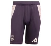 (S) 2024-2025 Arsenal Training Shorts (Aurora Black)