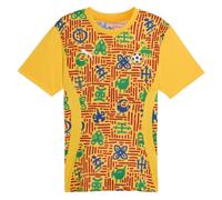 Puma Ghana 2025 SS Pre Match Shirt Yellow