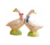 S and P - Ducks Salt & Pepper