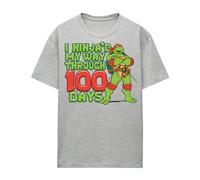(S, Athletic Heather) Teenage Mutant Ninja Turtles Womens/Ladies I Ninja'd My Way Through 100 Days Heather T-Shirt
