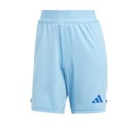 (S, Blue Burst) Adidas Unisex Adult T24 Goalkeeper Shorts