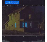 S. Carey Break Me Down - Eco Teal Vinyl US vinyl LP album record JAG423 Jagjaguwar 2022