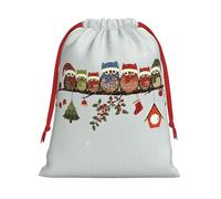 S Christmas Drawstring Bag â€“ Cute Christmas Owls on Branch Print Holiday Sacks Bag, Treats â€“ Plush Pouches for Birthdays, Weddings