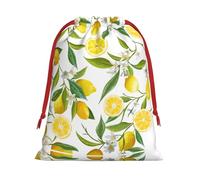 S Christmas Drawstring Bag â€“ Fresh Tropical Lemons Print Holiday Sacks Bag, Treats â€“ Plush Pouches for Birthdays, Weddings