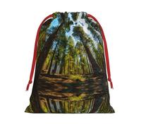 S Christmas Drawstring Bag â€“ Reusable Nature Cedar Print Xmas Party Holiday Sacks, Favor Bags for Birthdays, Weddings