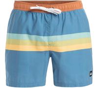 (S, Coronet Blue) Quiksilver Mens Stripes Swim Shorts