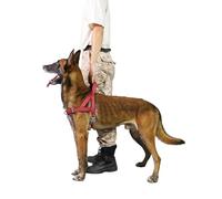 S-ETOVUS No Pull Dog Harness, Reflective Puppy Harness, Escape Proof/Quick Fit Adjustable Pet Harness with Soft Padded Handle, Front and Back Metal Ring, Easy for Training Walking (Red, XS)