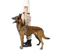 S-ETOVUS No Pull Dog Harness, Reflective Puppy Harness with Soft Padded Handle, Escape Proof/Quick Fit Adjustable Pet Harness for Small Medium Large Dogs, Easy for Training Walking (Yellow, XL)