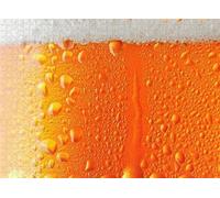 s Jigsaw Puzzle for Adults, My Summer Treehouse by The Lake Challenging Educational Fun Family Games Preschool Toys Wooden Puzzles Home Decor Gifts_300pcs