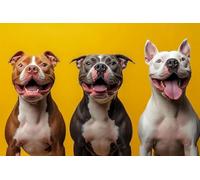 s Jigsaw Puzzles for Adults Teens Pitbull Dogs in There Fun Game Props Educational Toys Decompressing Intellectual Puzzles Gift for Easter Hallowen Christmas Birthday_500pcs