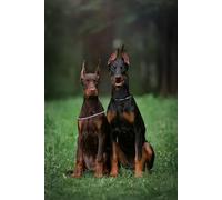 s Jigsaw Puzzles Toys Funny Doberman Dog Intellectual Educational Decompressing Puzzle Toy Games for/Adults Animal Lover Gift_1000pcs