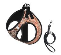 S Leash Vest Dog Harness - Small Sized Antique Orientalist Art Print Pet Leash SetReflective for Outdoor and Dog Walking