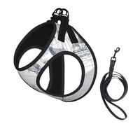 S Leash Vest Dog Harness - Small Sized boat Map Print Pet Leash SetReflective for Outdoor and Dog Walking
