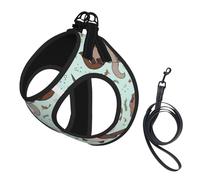 S Leash Vest Dog Harness - Small Sized Cartoon Cute Otter Print Pet Leash SetReflective for Outdoor and Dog Walking