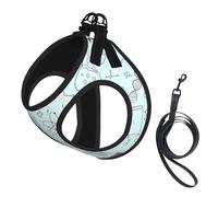 S Leash Vest Dog Harness - Small Sized Chemistry Print Print Pet Leash SetReflective for Outdoor and Dog Walking