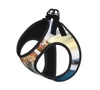 S Leash Vest Dog Harness - Small Sized Cinque Terre scenery Print Pet Leash SetReflective for Outdoor and Dog Walking