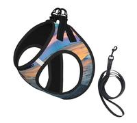 S Leash Vest Dog Harness - Small Sized Coconut Beach Sunset Hammock Print Pet Leash SetReflective for Outdoor and Dog Walking