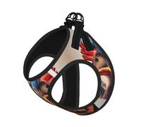 S Leash Vest Dog Harness - Small Sized Human Anatomy Heart Chart Print Pet Leash SetReflective for Outdoor and Dog Walking