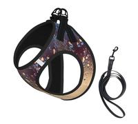 S Leash Vest Dog Harness - Small Sized Rain Drops on Glass Print Pet Leash SetReflective for Outdoor and Dog Walking