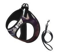 S Leash Vest Dog Harness - Small Sized Sloth with sunglasses Print Pet Leash SetReflective for Outdoor and Dog Walking