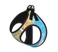S Leash Vest Dog Harness - Small Sized World Map Print Pet Leash SetReflective for Outdoor and Dog Walking