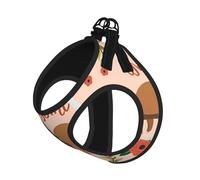 S Leash Vest Dog Harness - Small Sized You Are Awesome Sloth Print Pet Leash SetReflective for Outdoor and Dog Walking