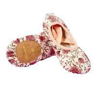 s.lemon Exquisite Elastic Canvas Ballet Dance Shoes Stretch Ballet Slippers Flats Pumps for Girls Kids Women TLB Colorful 31EU Multicolor
