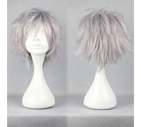S-noilite Unisex Short Straight Hair Wig Anime Party Cosplay Warped Full Wigs for Women Men(Silvery Gray)