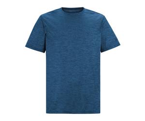 (S, Olympian Blue/Navy) Regatta Mens Fingal Edition Marl T-Shirt