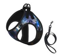 S Pet Leash Vest Dog Harness â€“ Small Sized Aerial Night of View Hong Kong Print Leash Set with Buckle, Canine Companion Outdoor dog walking