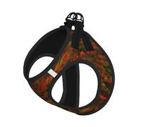 S Pet Leash Vest Dog Harness – Small Sized Blue Ridge Parkway Mountains Print Leash Set with Buckle, Canine Companion Outdoor dog walking