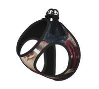 S Pet Leash Vest Dog Harness â€“ Small Sized Christmas Santa Claus Print Leash Set with Buckle, Canine Companion Outdoor dog walking