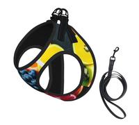 S Pet Leash Vest Dog Harness â€“ Small Sized Fruit Rainbow Print Leash Set with Buckle, Canine Companion Outdoor dog walking