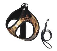 S Pet Leash Vest Dog Harness â€“ Small Sized Italian Street Print Leash Set with Buckle, Canine Companion Outdoor dog walking