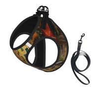 S Pet Leash Vest Dog Harness â€“ Small Sized Italian Street Print Leash Set with Buckle, Canine Companion Outdoor dog walking
