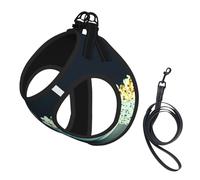 S Pet Leash Vest Dog Harness – Small Sized Movie Clapboard And Popcorn Print Leash Set with Buckle, Canine Companion Outdoor dog walking
