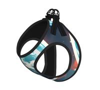 S Pet Leash Vest Dog Harness â€“ Small Sized Space Planet Earth Print Leash Set with Buckle, Canine Companion Outdoor dog walking