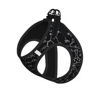 S Pet Leash Vest Dog Harness - Small Sized, Abstract Science Chemistry Print Adjustable for Outdoor Travel and Walking