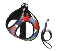 S Pet Leash Vest & Dog Harness - Small Sized Colorful Plaid Print Leash Set, Reflective, Adjustable for Cats & Dogs