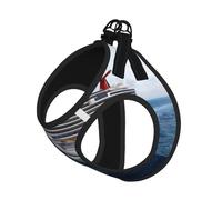S Pet Leash Vest & Dog Harness - Small Sized Cruise Ship Print Leash Set, Reflective, Adjustable for Cats & Dogs