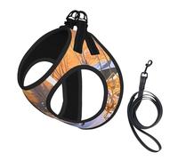 S Pet Leash Vest Dog Harness - Small Sized, Dog Catching Pheasant Print Adjustable for Outdoor Travel and Walking
