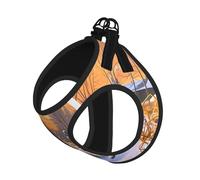 S Pet Leash Vest Dog Harness - Small Sized, Dog Catching Pheasant Print Adjustable for Outdoor Travel and Walking
