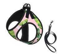 S Pet Leash Vest & Dog Harness - Small Sized Fresh banana leaves Print Leash Set with Buckle, Canine Companion Outdoor Travel