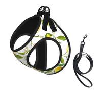 S Pet Leash Vest & Dog Harness - Small Sized Fresh Tropical Lemons Print Leash Set with Buckle, Canine Companion Outdoor Travel